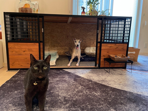 アイアン　ペット　ケージ　受注生産 