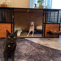 【新作※受注生産】　アイアン　ペットケージ　L 15枚目の画像