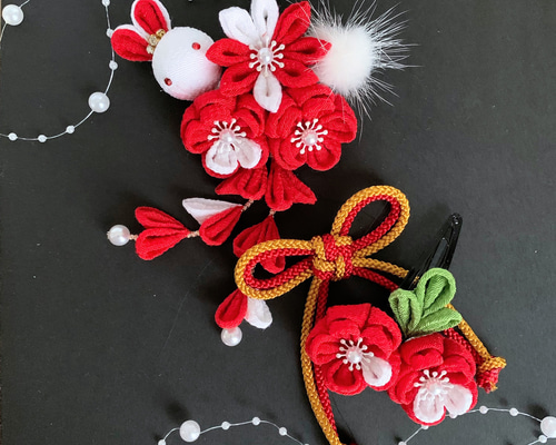 d00c1ad63f9d0407f4d42e88dd9f5b