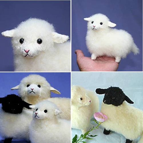 東京メトロのモデルになってます ①迷える小羊白タイプ。➁迷える小羊