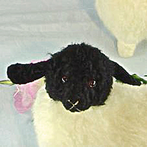 東京メトロのモデルになってます ①迷える小羊白タイプ。➁迷える小羊