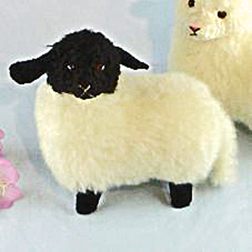 東京メトロのモデルになってます ①迷える小羊白タイプ。➁迷える小羊