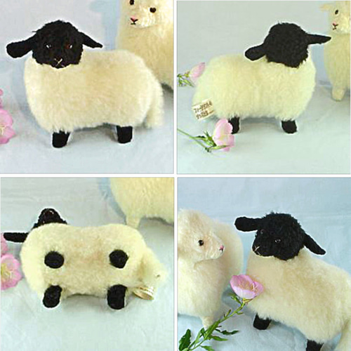 東京メトロのモデルになってます ①迷える小羊白タイプ。➁迷える小羊