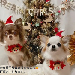【受注制作】〈再販〉フェルトのミニクリスマス帽子4種　お子様・ペット・ぬいぐるみのコスプレに 2枚目の画像