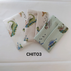 カラー追加】ミニポケットティッシュケース 裏地つき☆恐竜 ダイナソー