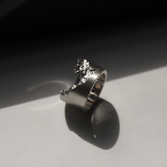 イレギュラー ブロークン  わびさび 彫刻リング sculpture ring 1枚目の画像