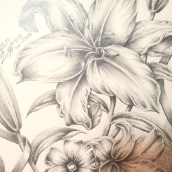 ボールペン画 手の花 sddefault.jpg