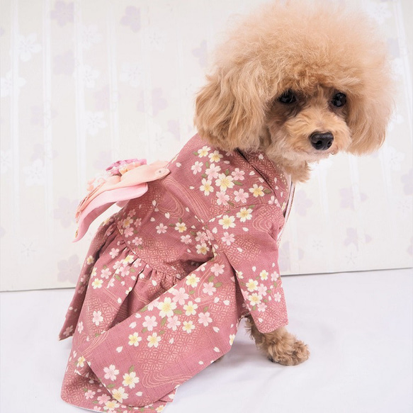 ワンピース ドレス 和柄 和装 着物風 ドックウェア 犬服 犬の服 猫服 猫の服 P595 P603 P606 5枚目の画像