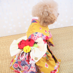 ワンピース ドレス 和柄 和装 着物風 ドックウェア 犬服 犬の服 猫服 猫の服 P595 P603 P606 7枚目の画像