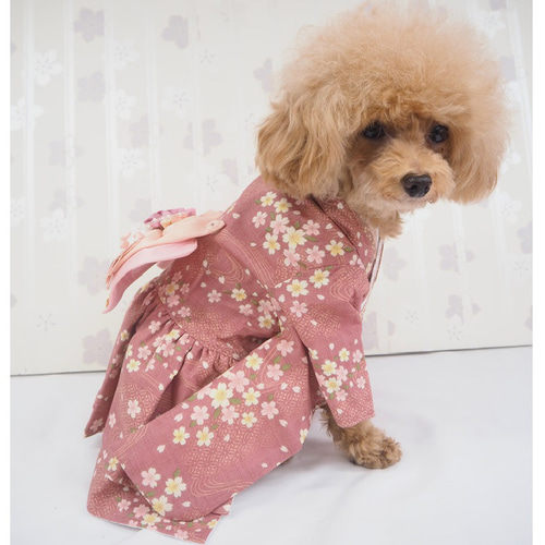 ワンピース ドレス 和柄 和装 着物風 記念日 ドックウェア 犬服 犬の服