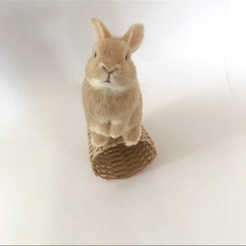 うたっち出品 うさぎ オーダーメイド 羊毛フェルト ハンドメイド オーダーメイド】【Lサイズ】羊毛フェルト うさぎ ペット うちの