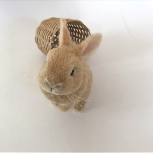 羊毛フェルト　うさぎ　ネザーランドドワーフ　オレンジ系 ネザーランドドワーフ オレンジ 羊毛フェルト Rinmama 通販 19275440