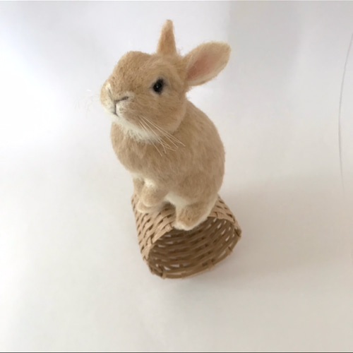うさぎ 羊毛フェルト ネザーランドドワーフ ミニうさぎ うたっち