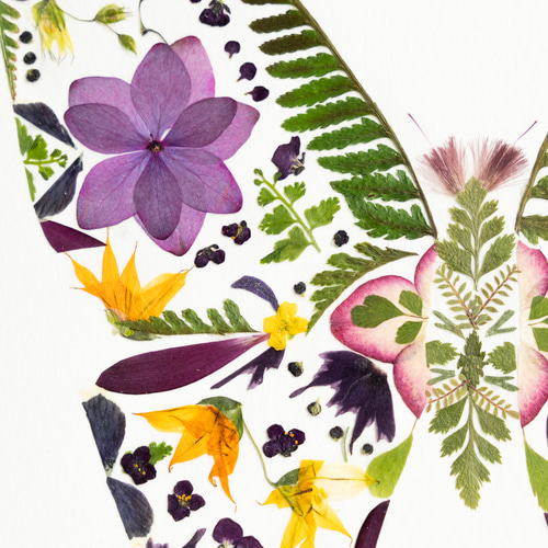 最終価格 精密画 花 額 flower ボタニカル アート 西洋 2枚