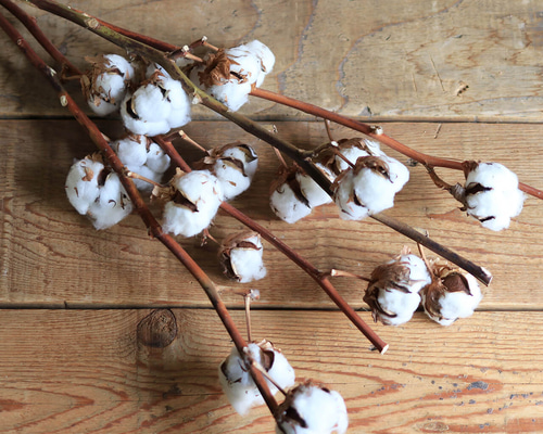 cb4d0dee76fe1be1bec2fb0c87abc8