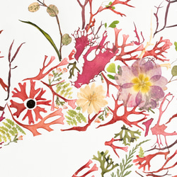 【緻密な押し花】フレーム付き　おしゃれ　インテリア　タツノオトシゴ　送料無料 3枚目の画像