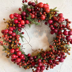 赤い木の実のリース リース Olive + 通販 14869082｜Creema(クリーマ