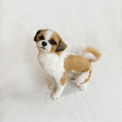 羊毛フェルトオーダーページ✩ 犬のオーダーメイド】JOY 羊毛フェルト (@yumiran6) • Instagram