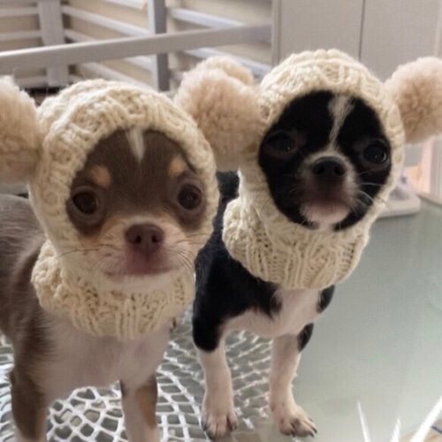 mikanさま 差額分です □ 大人気♪ ツインテールのフェアリー帽子