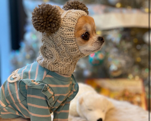 5859f42947788db39176fa951d10bb