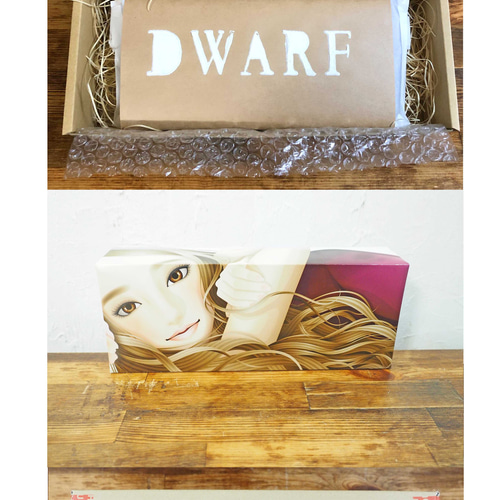 1点在庫アリ】リバティ トゲトゲラセンビィ・コットン財布 長財布