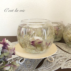 オレガノケントビューティーのジェルキャンドルホルダー 2枚目の画像