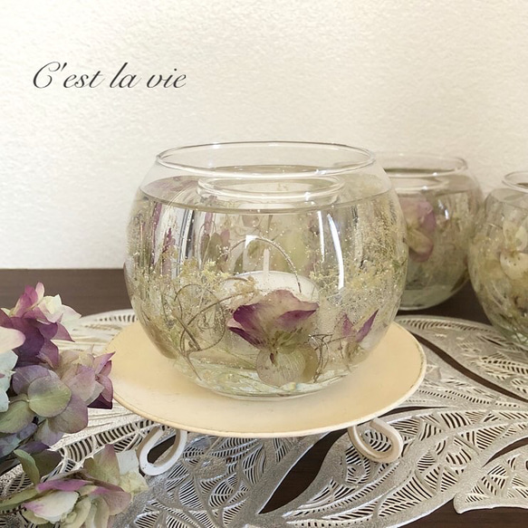 オレガノケントビューティーのジェルキャンドルホルダー 2枚目の画像