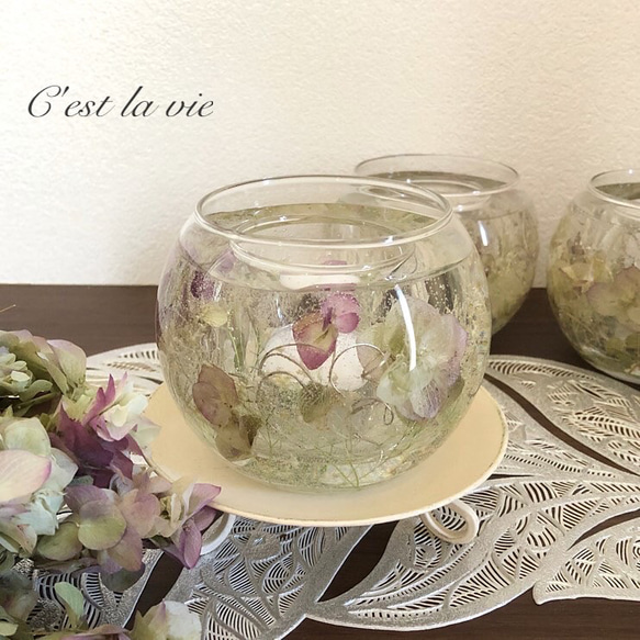 オレガノケントビューティーのジェルキャンドルホルダー 4枚目の画像