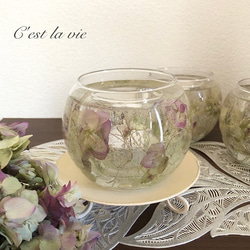 オレガノケントビューティーのジェルキャンドルホルダー 1枚目の画像