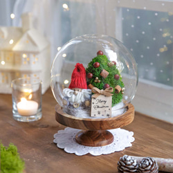 Christmas Dome（クリスマスドーム）/ ガラスドーム 1枚目の画像