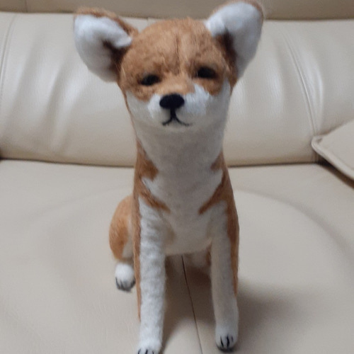 羊毛フェルト　柴犬 羊毛フェルト 柴犬