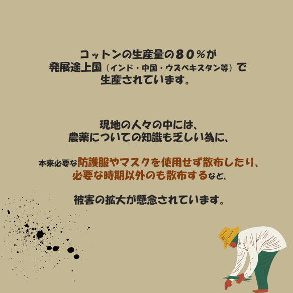 コットンのもたらす健康被害について 