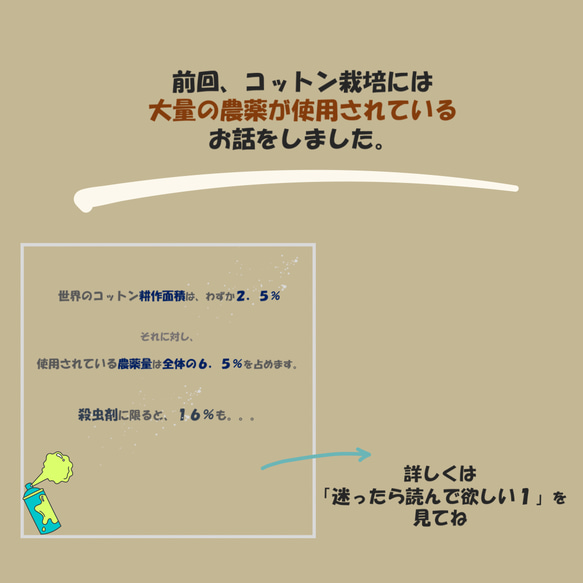コットンのもたらす健康被害について 