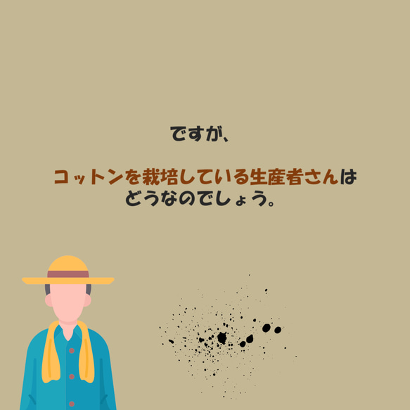 コットンのもたらす健康被害について 