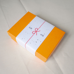【名入れ・10枚】 のし紙 熨斗 水引 お祝い 内祝い 和紙 名入れ 6×21 小さい 2枚目の画像