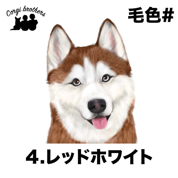 【 シベリアンハスキー 水彩画風 毛色4色 】 手帳 スマホケース 犬 うちの子 iPhone & Android 5枚目の画像