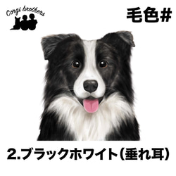 【 ボーダーコリー 水彩画風 毛色4色 】 手帳 スマホケース 犬 うちの子 iPhone & Android 3枚目の画像
