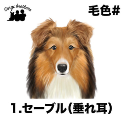 【 シェルティー 水彩画風 毛色4色 】 手帳 スマホケース 犬 うちの子 iPhone & Android 2枚目の画像