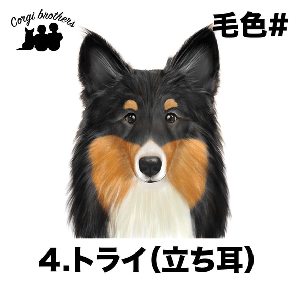 【 シェルティー 水彩画風 毛色4色 】 手帳 スマホケース 犬 うちの子 iPhone & Android 5枚目の画像