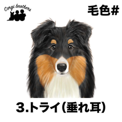 【 シェルティー 水彩画風 毛色4色 】 手帳 スマホケース 犬 うちの子 iPhone & Android 4枚目の画像
