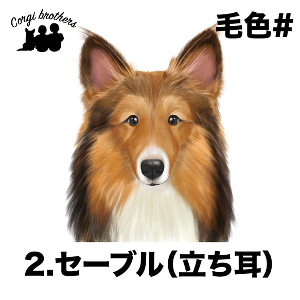 【 シェルティー 水彩画風 毛色4色 】 手帳 スマホケース 犬 うちの子 iPhone & Android 3枚目の画像