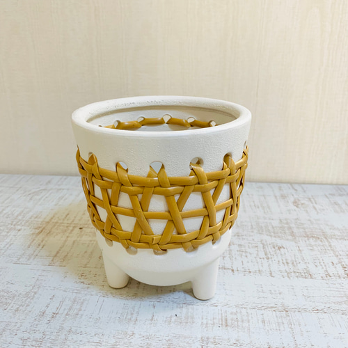 万年青　オモト　獅子　4.5号陶器鉢つき　③　子株つき❗ 楽天市場】◇引っ越しおもと 獅子おもと◇万年青 引っ越し万年青 獅子