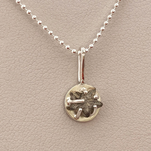 ◇ウミユリの茎化石◇シルバーペンダント◇Pentacrinites Silver