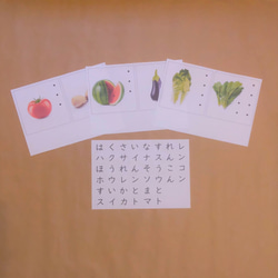 文字さがし＜ひらがな＆カタカナ・Aセット＞★モンテッソーリ教育の言語教育 4枚目の画像