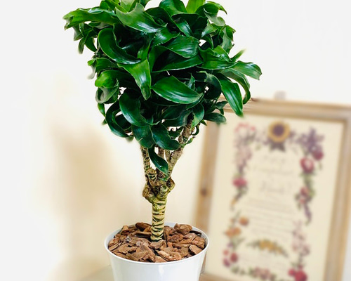 42a318db3e133c759f9d8c3808e9fb