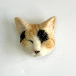 アメリカンショートヘアのフレーム猫 羊毛フェルト 猫 リアル