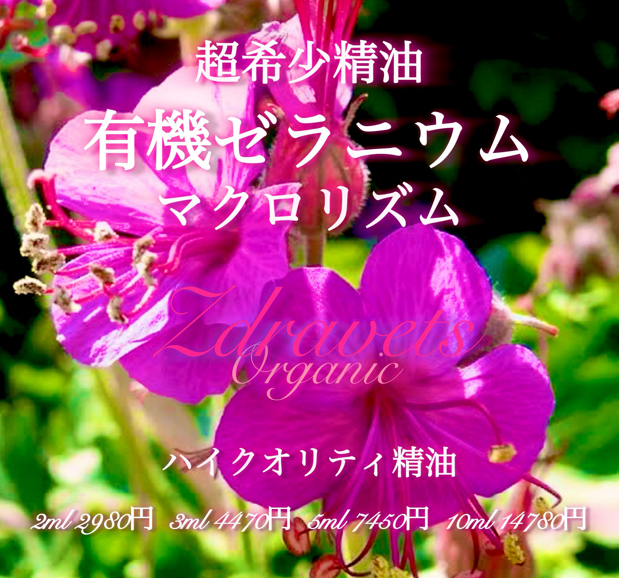 ☆限定数☆【超希少国内未販売精油】ゼラニウムマクロリズム精油5ml
