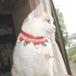 クリスマス襟付き猫の首輪③ 8枚目の画像