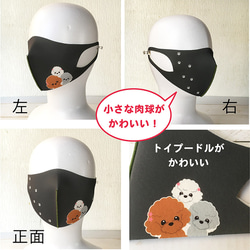 【Sale】マスク トイプードル 2枚目の画像