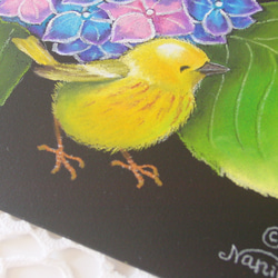 アジサイでかくれんぼ・６月の誕生花・手まり紫陽花・なかよし小鳥・さわやか・メルヘン・癒し・パステル画・一点物・フレーム付 2枚目の画像